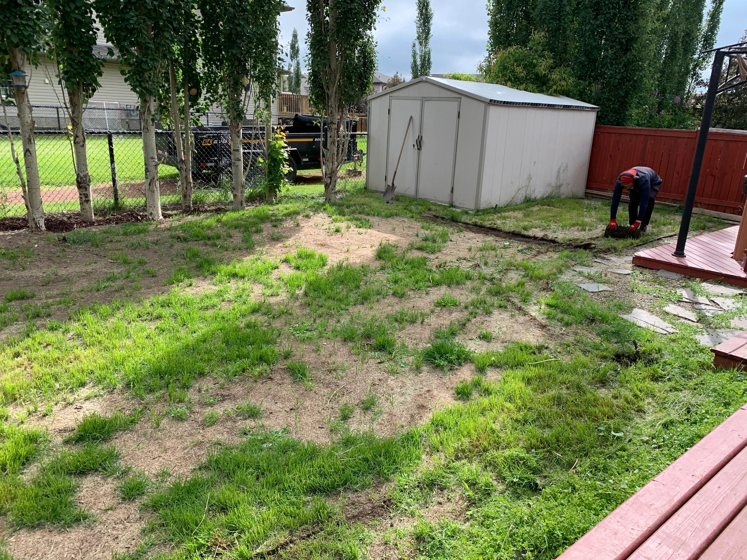 Spring clean up service