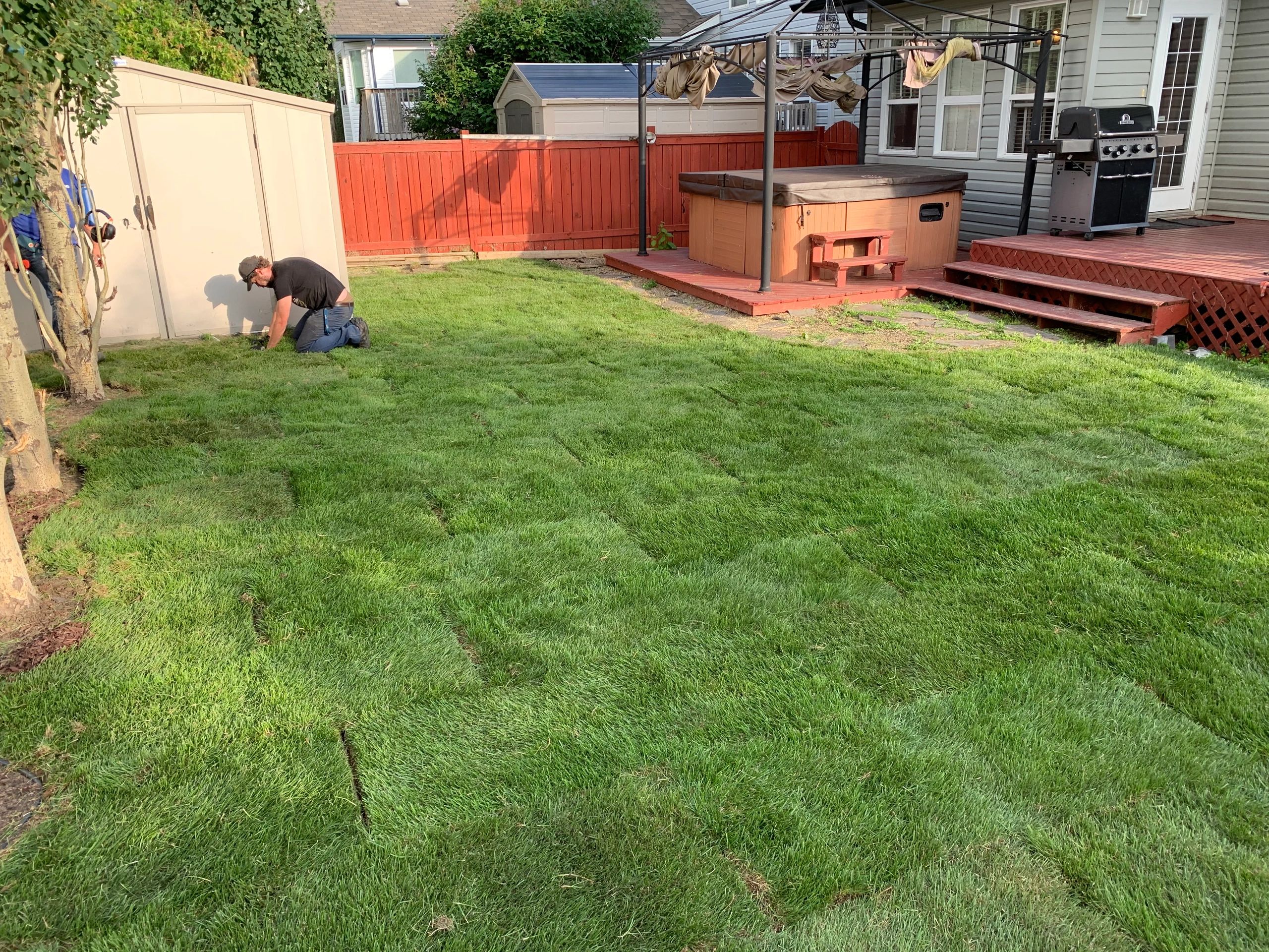 Property Maintenance