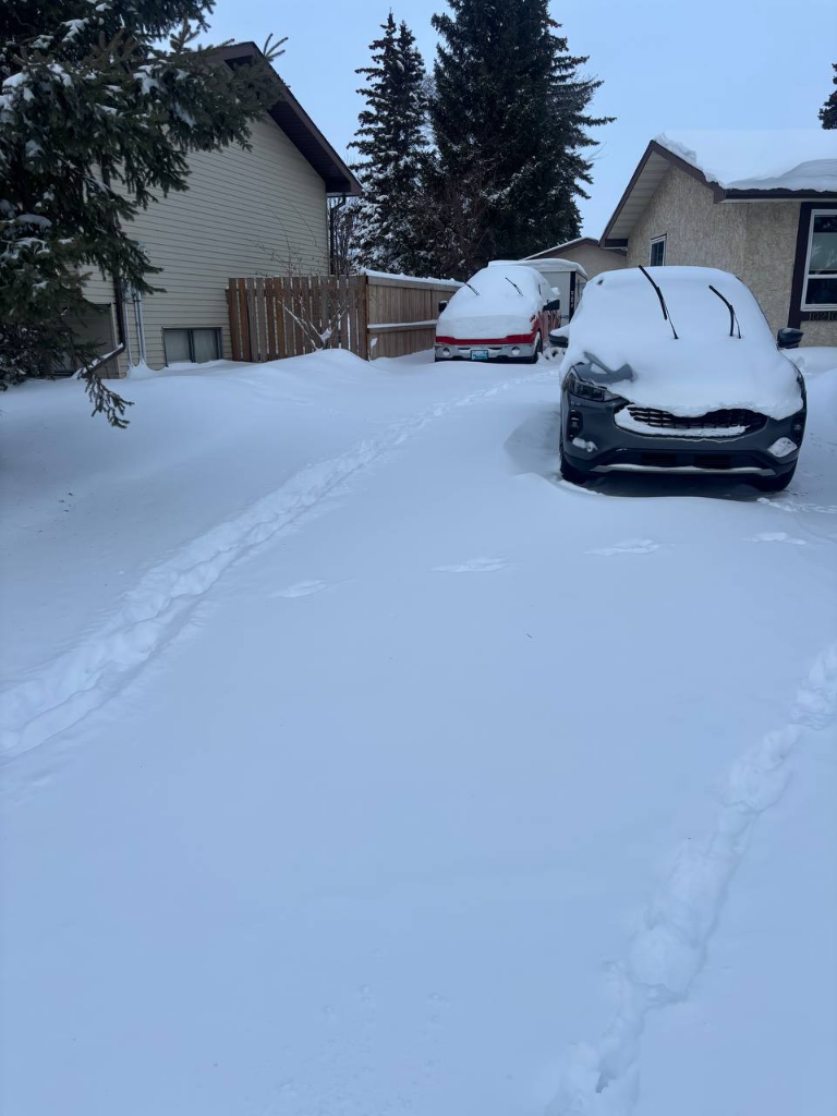 Driveway after professional clearing
